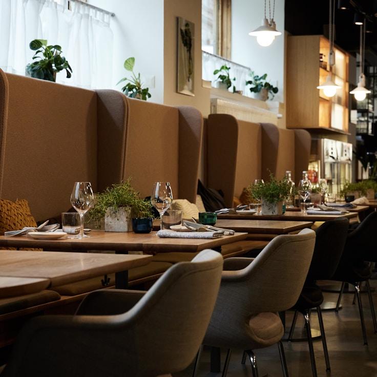 School choices for expat families in Delft, Netherlands